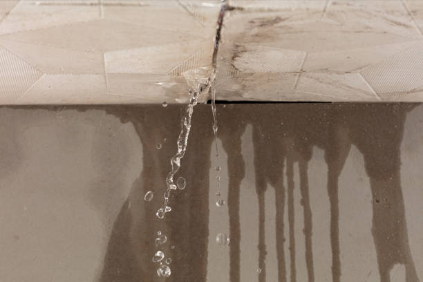 Professional Flood Damage Cleanup technician working in Lilliwaup, WA